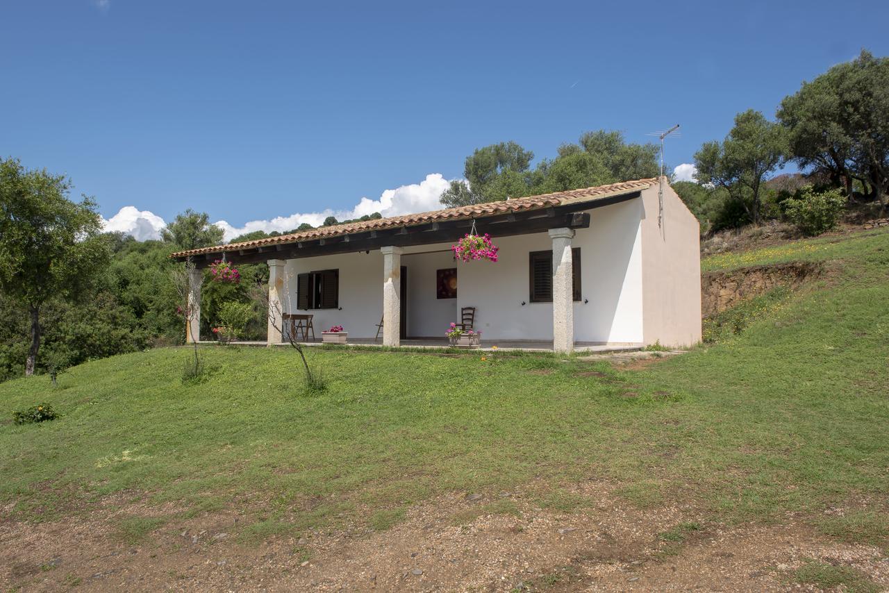 فيلا Agriturismo Sorres بودوني المظهر الخارجي الصورة
